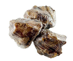 123 Treats Knee Cap Beef Bones dog chew action shows durable, long-lasting entertainment.