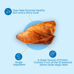 123 Treats pig ears bulk-pack shows generous supply for ongoing chewing and entertainment.