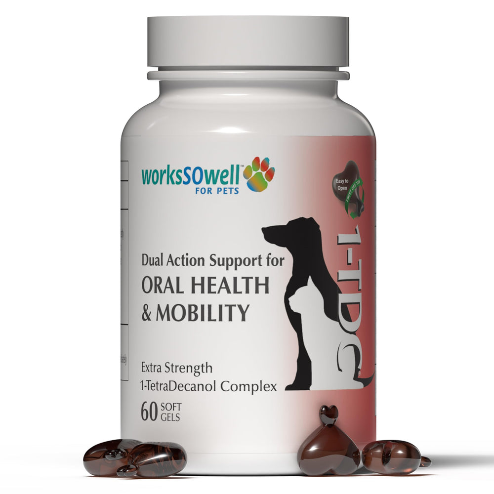 1-TDC WorksSoWell joint supplement bottle ready for pet mobility support.