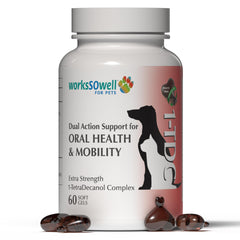 1-TDC WorksSoWell joint supplement bottle ready for pet mobility support.