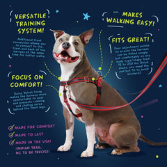 2 Hounds Design Freedom No Pull Harness stainless steel hardware demonstrates durability.