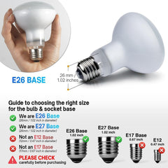 24 Nha&FACA 2-pack heat bulbs ready for ongoing reptile warmth