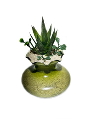 2 Pounds Natural Sand in a garden setting adds mineral-rich base for containers.