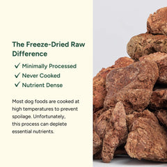 Close-up of 360 Pet Nutrition chicken liver bites highlighting quality protein for dogs.