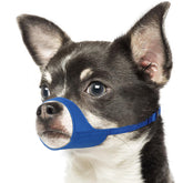 Mayerzon short snout muzzle blue XS front view for small dogs, breathable design.