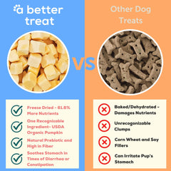 A Better Treat organic pumpkin treats closeup — stomach friendly snack for sensitive pets.