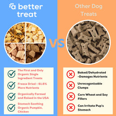 A Better Treat wild caught salmon treats promote a shiny coat and healthy skin