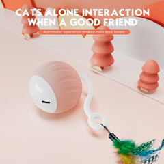 AAA AMUSANG USB-rechargeable cat ball for cordless, ready-to-play sessions.
