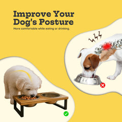 AASPIRE PETS mango wood base shown for a sturdy, durable feeding station.