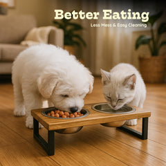 AASPIRE PETS stainless steel dishes remove easily for quick cleaning and rust resistance.