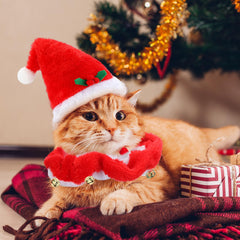 Abbylike cat tutu costume creates adorable holiday looks