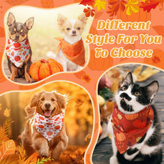 Abbylike fall dog bandana plaid theme coordinates with cozy outfits for harvest gatherings