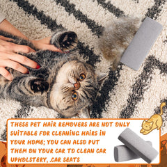 Abbylike pet hair remover stone in car interior for spotless seats