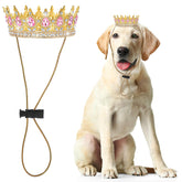 Abbylike pet rhinestone king crown on a dog for a festive photo prop