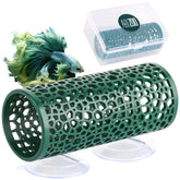 Abizoo Betta Tunnel in dark green exterior offers a safe hiding spot for small fish.