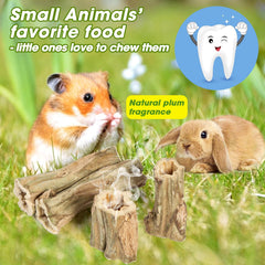 Abizoo rabbit teeth health dental chews showing safe hardness and chewing action