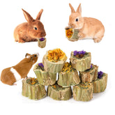 Abizoo rabbits chew toy papaya wood closeup promoting natural dental wear and gnawing