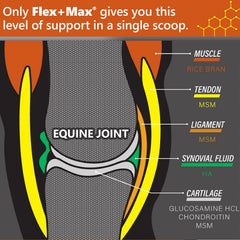 Absorbine Flex+Max bag-open-dispense showing ready-to-use pellets for quick administration.