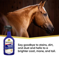 Absorbine ShowSheen Miracle Groom on coat after spray detangles and adds shine