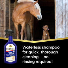 Absorbine ShowSheen Miracle Groom lifts dirt and brightens color on the coat