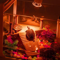 Abustle pig turtle heat lamp setup delivers reliable basking warmth in a tank