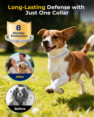 Accecraft flea collar material close-up showcases soft plant-based safety for pets