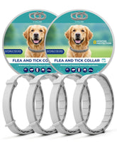 Accecraft flea collar packaging display highlighting long-lasting protection for dogs