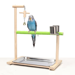 Acsist Bird Playground natural wood perch offers enriching activity for small birds.