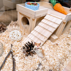 Acsist hamster house roof doubles as platform for play and rest.