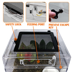 Acsist Reptile Terrarium durable PC walls ensure safety and clarity.