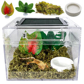 Acsist Reptile Terrarium front view for clear pet observation.