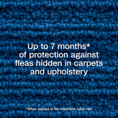 Adams Plus coverage up to 2,000 sq ft for treated areas.
