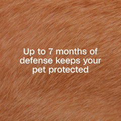 ADAMS Plus extended-release technology transfers ingredients to coat