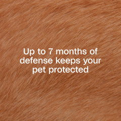 ADAMS Plus collar provides extended-release protection across a dog's coat for up to seven months.