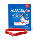 ADAMS Plus flea and tick collar on a small dog neck for steady protection