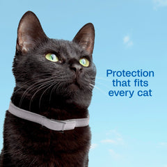 ADAMS Plus water-resistant collar ready for outdoor use in rain
