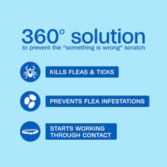 ADAMS Plus water resistant collar shown during rain or swim