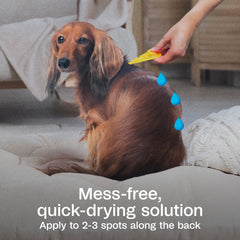 Adams Plus kills brown dog ticks during outdoor activity