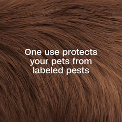 Pet drying after Adams Plus Pyrethrin Dip application, ready for protection