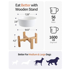 Addggo ceramic dog bowl with 6-inch width and 3.6-cup capacity for medium breeds.