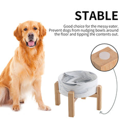 Addggo raised dog bowl showing non-slip rubber base for stability