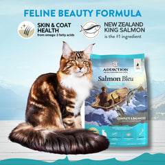 Addiction Salmon Bleu grain-free formula emphasizing hypoallergenic option for sensitive stomachs