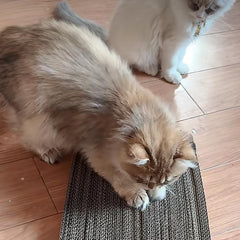 Aderroo Cardboard Cutter in use cutting custom shapes for cat scratchers.