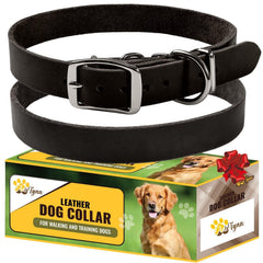 ADITYNA black leather dog collar closeup-buckle highlights secure double buckle for small dogs.