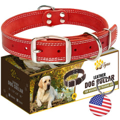 ADITYNA heavy-duty red leather dog collar front view for secure walks in large dogs