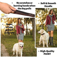 ADITYNA Leather Dog Leash supports focused training with comfortable grip