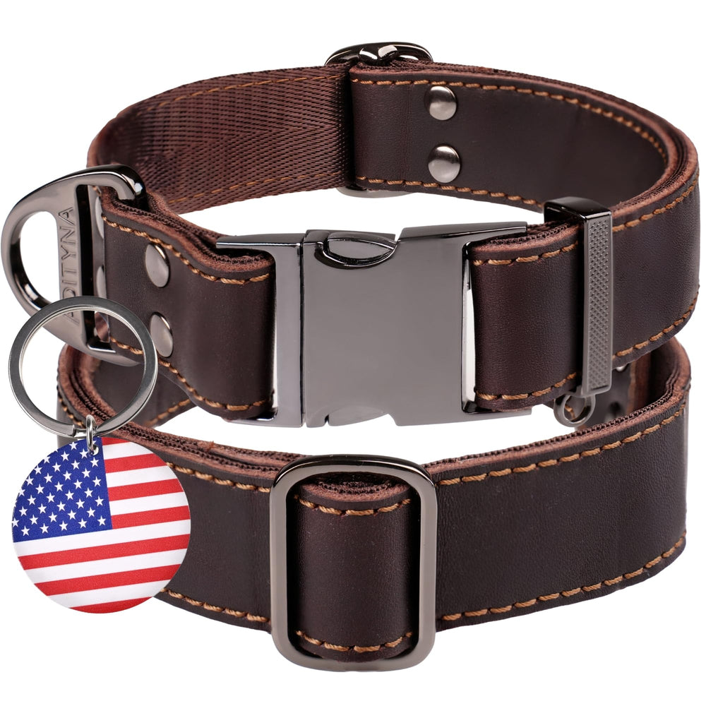 ADITYNA leather dog collar buckle closeup for secure daily walks