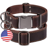 ADITYNA leather dog collar buckle closeup for secure daily walks