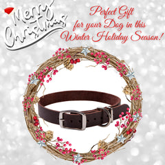 ADITYNA Leather Dog Collar full-collar view showcasing premium top-grain leather durability