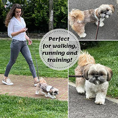 ADITYNA premium leather dog leash 6ft soft grip demonstrates comfortable control during pulls.